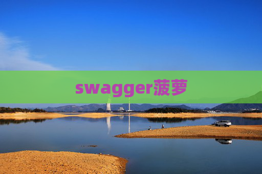swagger菠萝